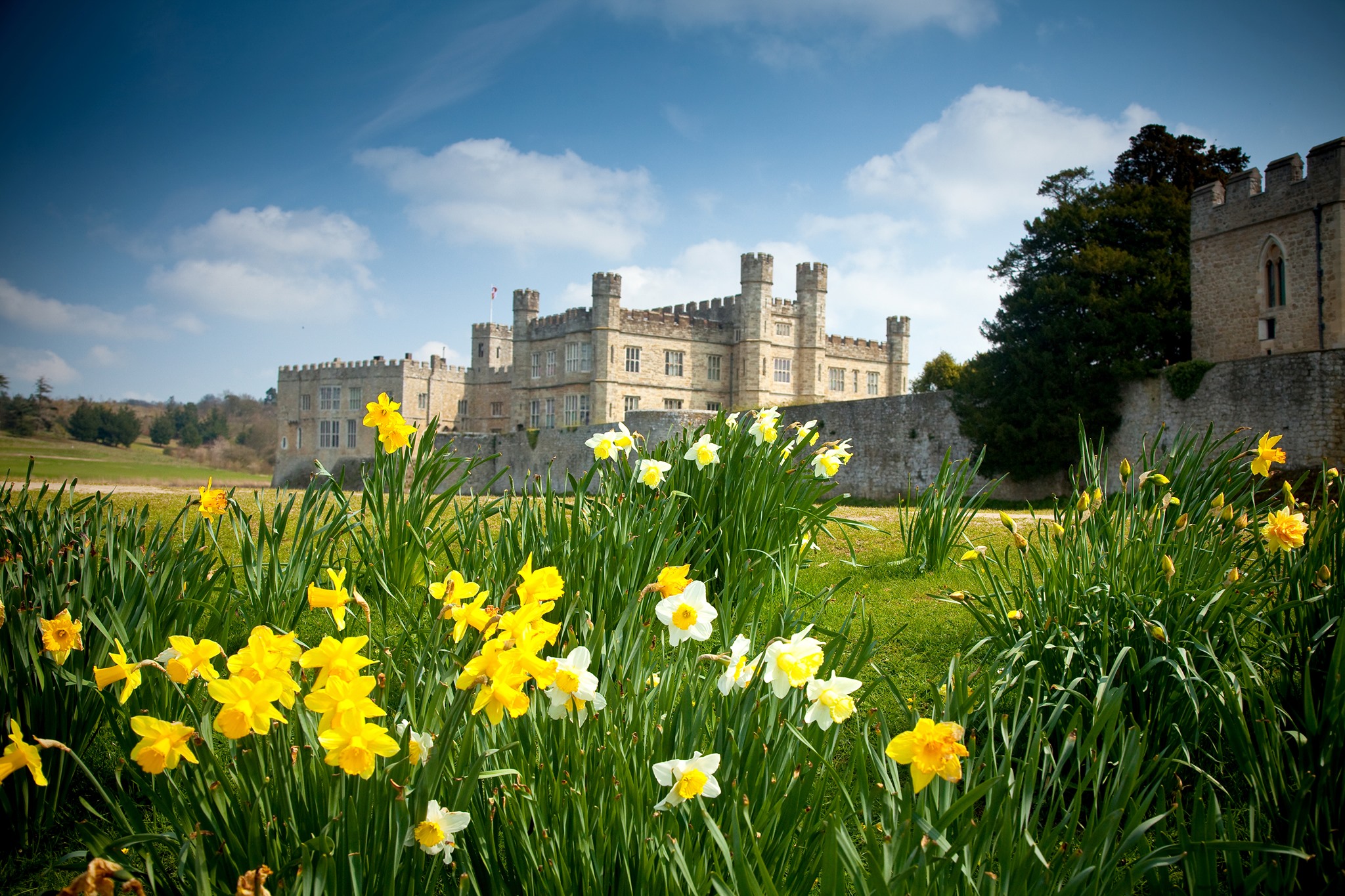 Leeds Castle in the background of some springtime flowers on a sunny day